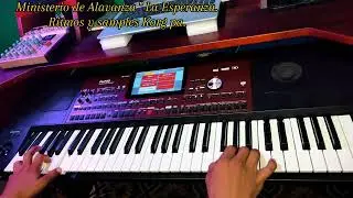 Ritmos y samples (Korg pa) en diferentes series