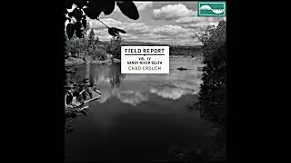 Chad Crouch - Field Report Vol. IV Sandy River Delta Instrumental - Ballad for a Black-headed Grosbe