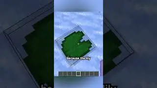 lily pad NOT
