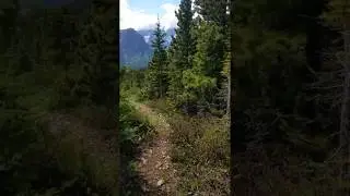 Late June Backpacking in Glacier National Park - Belly River Valley