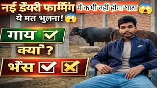 15 लाख का dairy farm 18 साल की उम्र में देखे कैसे?new dairy farm || @Amandairywala 