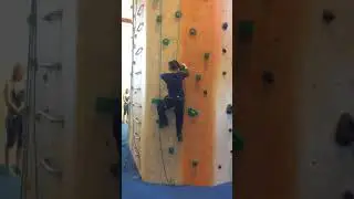 Chick climbing a wall