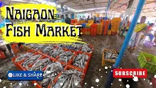 Unseen Naigaon Fish Market Before Mai De Deus Pali Feast 🔥🐠