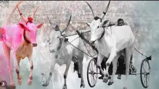 हरण्या गाणी ❤️&zwj;🔥 new.2026.Dj song hernia Hind Kesari हेरनिया. ❤️&zwj;🔥