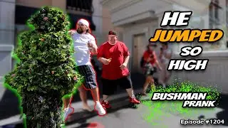 Craziest Bush in Las Vegas