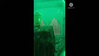 السيد ابراهيم حفيد الكاظم عليهم السلام ووالدته زينب ع