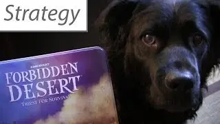 Forbidden Desert Strategy Primer