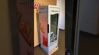 Custom Refrigerator Wraps | Transform Your Commercial Fridge with RM Wraps! #refrigerator