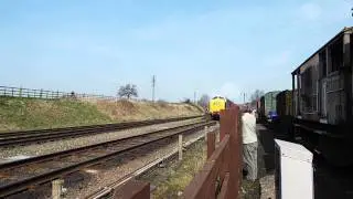 (HD) D9016 TPO Quorn and Woodhouse