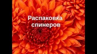 // MaryBi // Распаковка спинеров