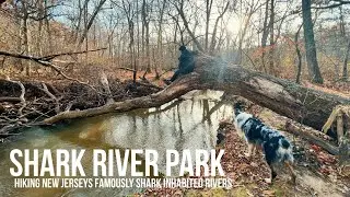 Shark River Park: Enjoying New Jersey&rsquo;s Many Monmouth County Parks