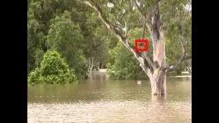 Before and After - January 2011 Floods in Rocklea, Brisbane, Australia