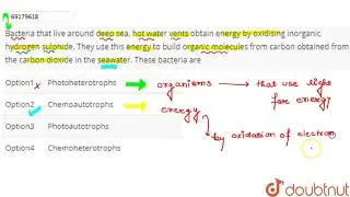 Bacteria that live around deep sea, hot water vents obtain energy by oxidising inorganic