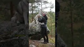 Le loup, l'animal qui a chang&eacute; l'Histoire