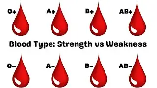 What Your Blood Type Says About Your Personality & Health