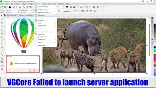 vgcore failed to launch server application error coreldraw 2020 / 2021