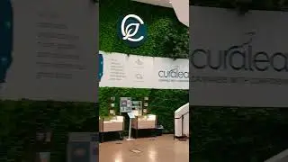 Curaleaf 🌿 Stock Investors Cannabis Marijuana Business