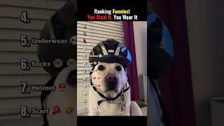 Ranking Funniest Steal and Wear Moments 😂