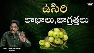 ఉసిరి- లాభాలు, జాగ్రత్తలు!   | Amla benefits & side effects |  Balu Yakkaladevara | Attention Please