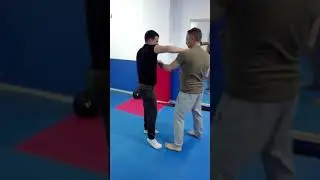 Wing chun praxis