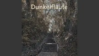 Wake Me Up