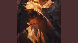 Autumn Mood