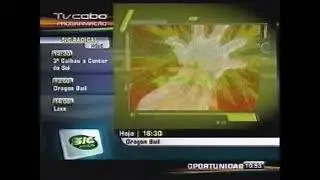 SIC Radical 2005