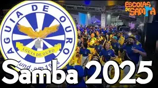 Águia de Ouro 2025 - Festa de Lançamento do CD #BotaOFone #PioneiroNoVídeoDosBreques