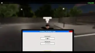 How to get air support in ERLC
