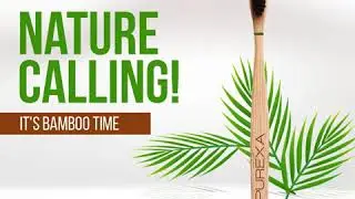 Bamboo Tooth Brush | Eco Friendly Tooth Brushes | PUREXA
