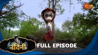 Nandini - Episode 473 | Bhojpuri Naagin show | Sun Bhojpuri | Bhojpuri Serial