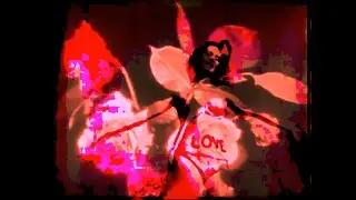 The Final Solution - Bleeding Roses (Restored) [Garage Rock]