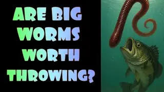 If Everyone Fished A Big Worm...