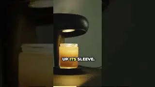 Ultimate Candle Lover's Dream