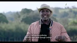 FIPS update: Nakuru Potato Revolution