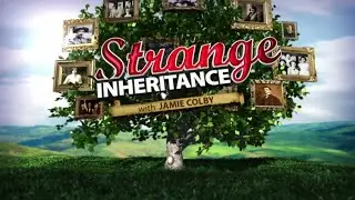 Strange Inheritance - Bonnie & Clyde - 2015
