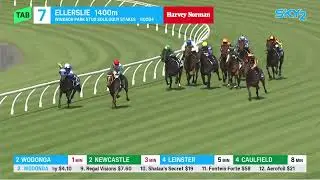ХОРОШО НАПИСАНО - Soliloquy Stakes 2025 (3YOF SW G2) Группа 2 Эллерсли, Новая Зеландия, 18 октября