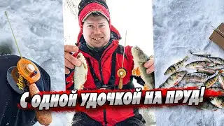 Как на одну удочку поймать разных рыб? | Рыбалка с Artuda Trio S премиум!