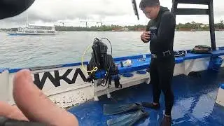 DIVING THE CENTRAL VISAYAS #scubadiving #scuba #dive