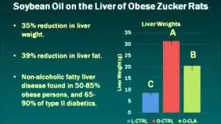 CLA Rich Oil - Improving Soy Oil Nutritional Value Through Processing