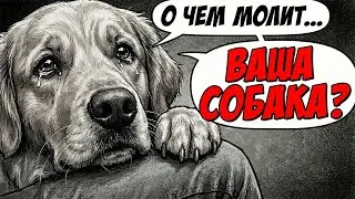Скрытый ЯЗЫК ЛАП: Вы годами ИГНОРИРОВАЛИ этот сигнал собаки!