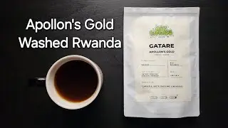 Apollon's Gold Coffee Review (Tokyo, Japan)- Washed Rwanda Gatare