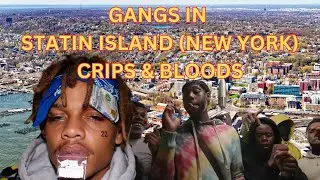 Staten Island: Crips and Bloods Unveiled (New York City's Forgotten Borough)