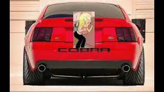 family guy Jillian Russell Wilcox as license plate part 6