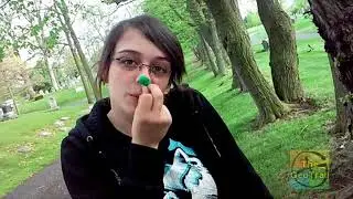An Adventure with Damien419
