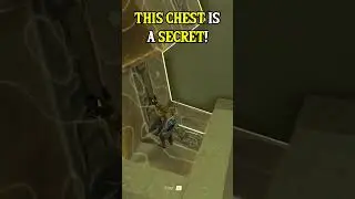THIS CHEST Is A SECRET! 🤫 (Zelda TOTK)