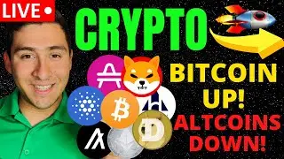 ALTCOINS DOWN, BITCOIN UP! WHAT NOW? (AMP Token, ADA, SHIBA)
