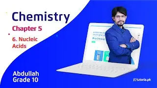 Chemistry Class 10 | Chapter 5 | Topic 6 | Nucleic Acids | in urdu | tutoria.pk