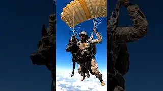K9 Rooftop Mission 🐕🚁#shortvideos#k9tactical