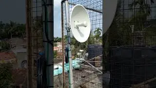 High Frequency Signal Tower 🗼 Wait For Video End #shorts #electrican #signaltower